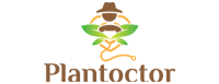Plantoctor_ico